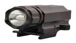 P10Cree